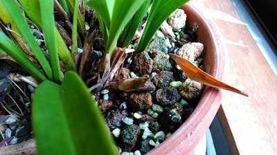 P_20200402_154111