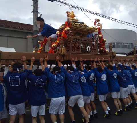 P_20231008_131656_1_1