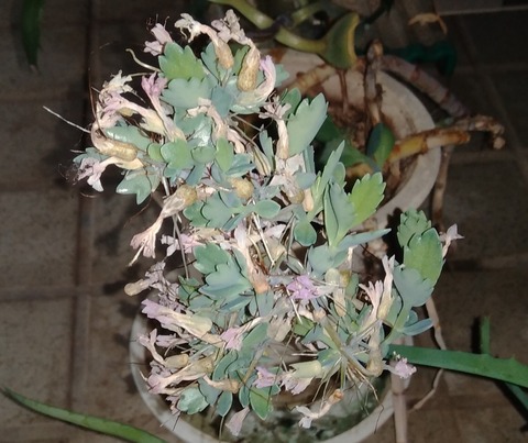 P_20230701_101819_1_1