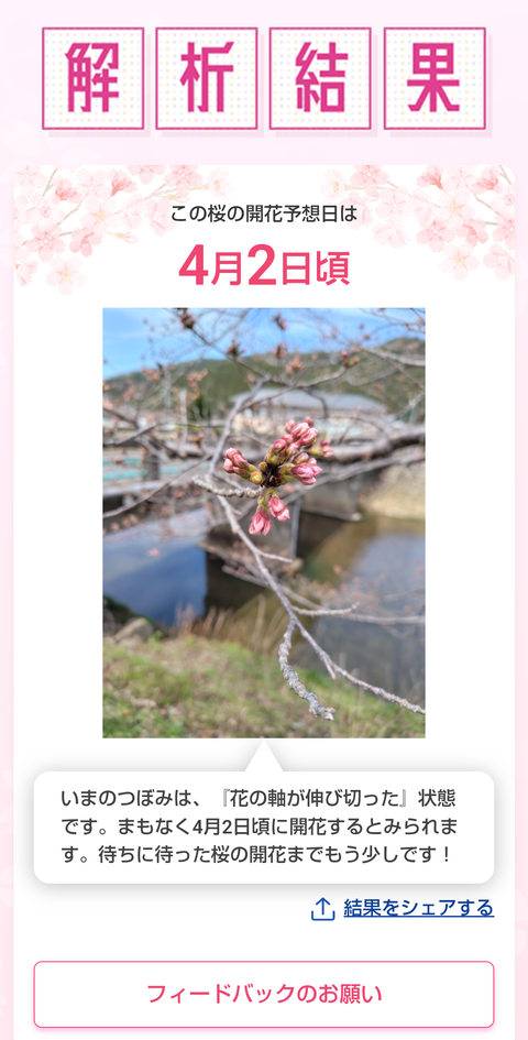 Screenshot_20250331-120541~2