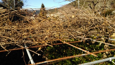 P_20200106_113022
