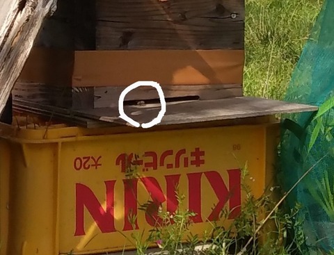 P_20230413_150207_1_1