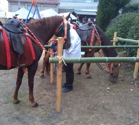 P_20231008_094737_p_1