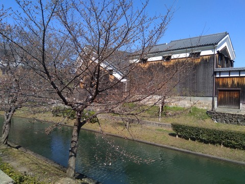 P_20230320_134142