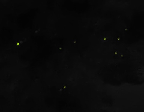 260531202007738~3