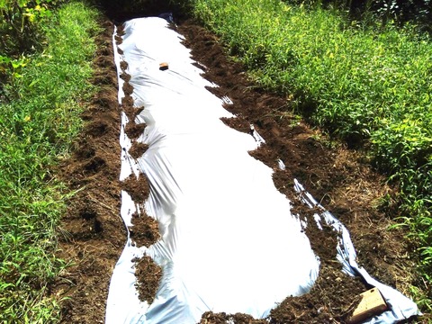 P_20230825_095756_1_1_1