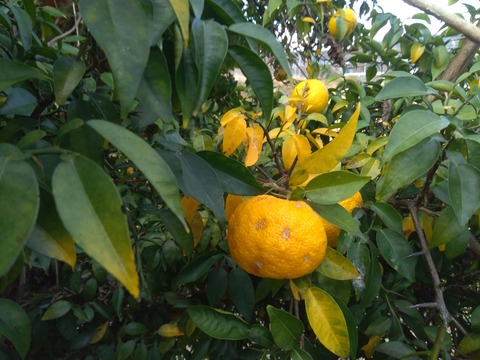 P_20231120_094900