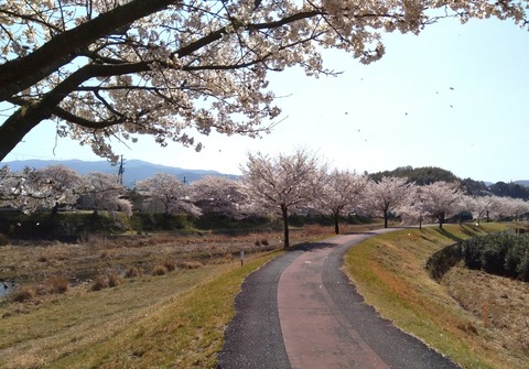 P_20230401_100730_1_1