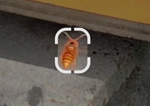 Screenshot_20260910-105859~2