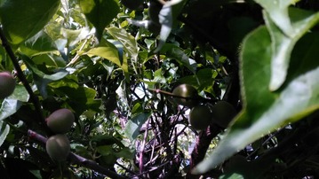 P_20190521_150032