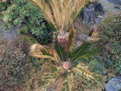 P_20230305_102338
