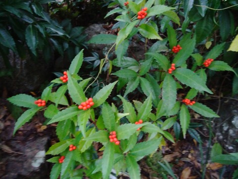 P_20231205_150914