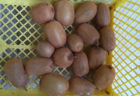 P_20211010_122715_p_1