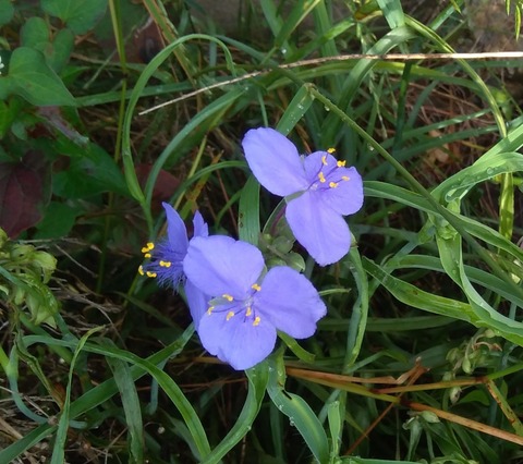 P_20230630_065535_1_1