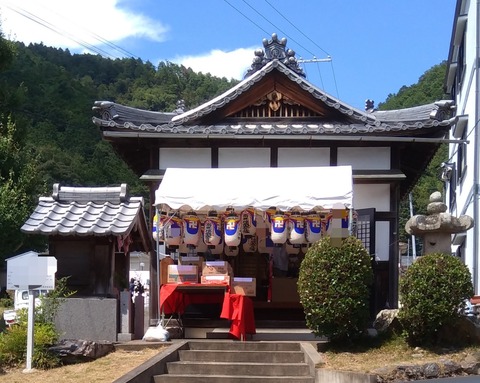 P_20230820_131035_1_1