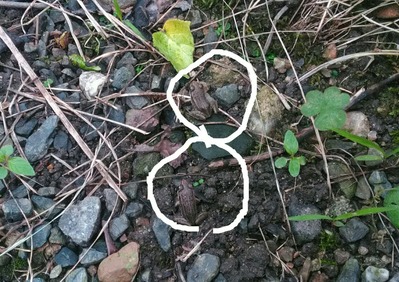 P_20200705_092305_1_1