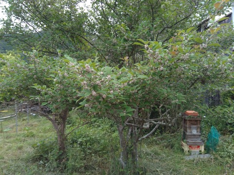 P_20210602_060349