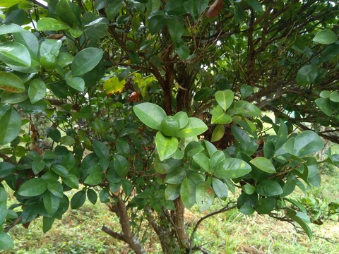 P_20230922_100556