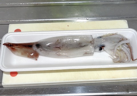 250919154109944~2