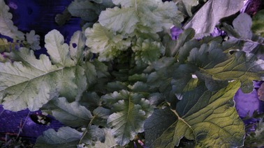 P_20191015_091705