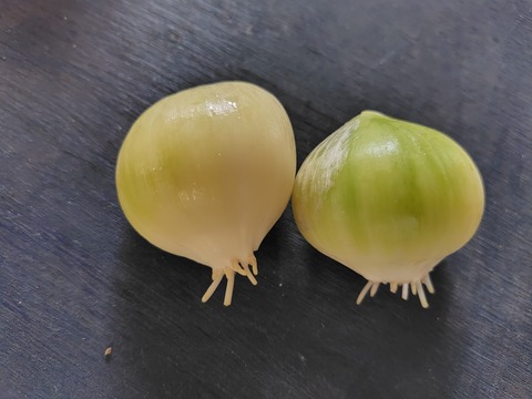 240926085753696