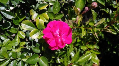P_20200530_103744