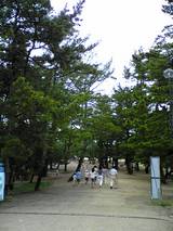 天橋立1