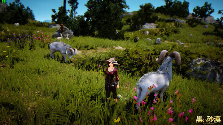 黒い砂漠 セレンディア南端部探検 こもれびの黒い砂漠 冒険譚