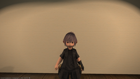 ffxiv_20190420_031710_829