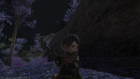ffxiv_20190704_030420_825