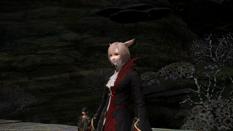 ffxiv_20190731_235019_739