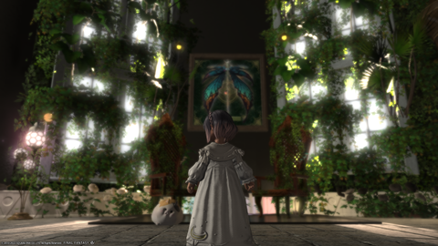 ffxiv_20221125_002919_801