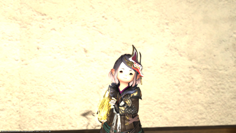 ffxiv_20190530_025337_772
