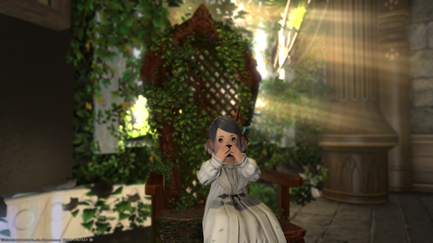 ffxiv_20221125_003043_842