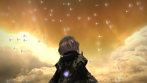 ffxiv_20201123_224947_603