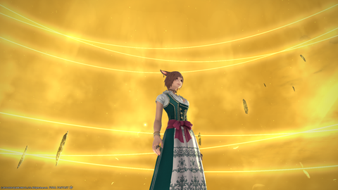 ffxiv_20201219_043411_415