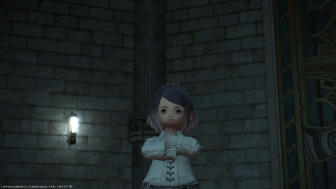 ffxiv_20190223_003435_584