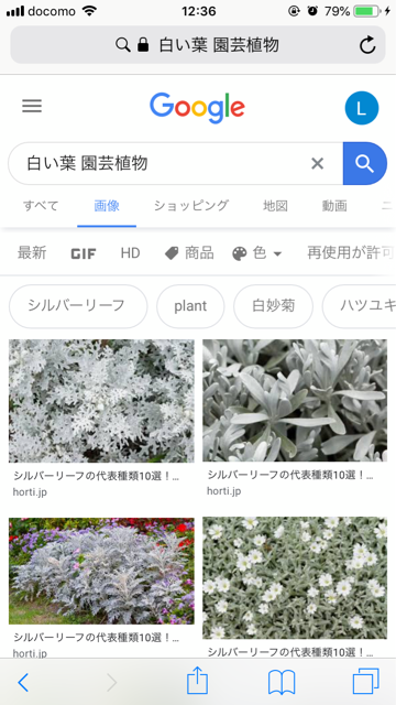 リクガメが食べても大丈夫な植物の見分け方 役立つアプリの紹介 フチゾリのライチとマルギナータワンダーランド リクガメが食べても大丈夫な植物の見分け方 役立つアプリの紹介 フチゾリのライチとマルギナータワンダーランド