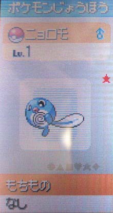色違いポケモン画像 色違いポケモン捕獲中 色違いポケモン画像 色違いポケモン捕獲中