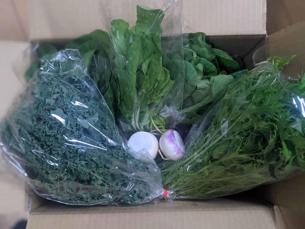 辛深記 Vol 3 農家の友人から今年最後の香味野菜が届く Good 2 Go
