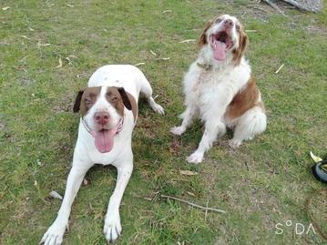 2020-04-24-16-47-27-280