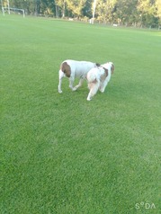 2020-04-21-17-12-35-627