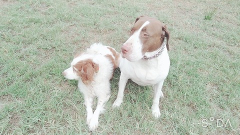 2020-04-20-11-41-26-331