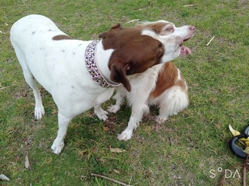 2020-04-24-16-47-34-616