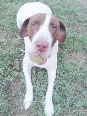 2020-04-20-17-45-12-713