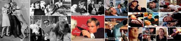 ■ ④David　McCallum and Susan Oliver_Man_from_UNCLE