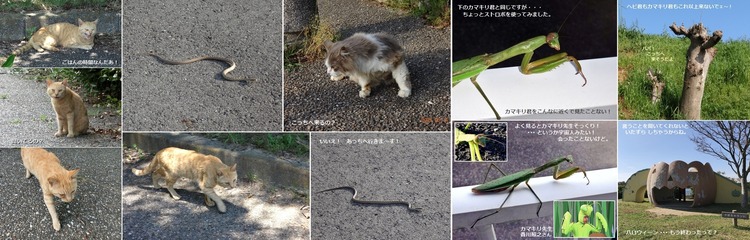 ●⑨猫ちゃん・蛇君・カマキリ君 ハロウィーンだ!012