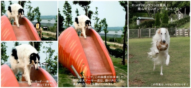 ※写真は真実?