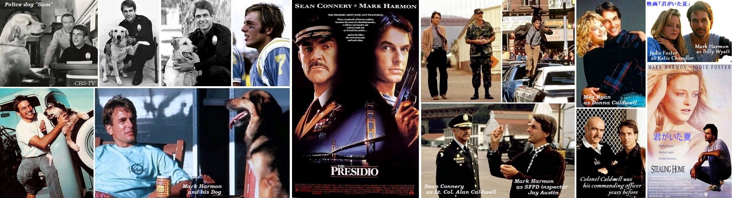 映画大好き人間大集合の巻 マーク ハーモンのncis ナタリー ポートマン レオン ニキータ 飛んでる音好き爺 オーディオ 映画 音楽 愛犬 映画大好き人間大集合の巻 マーク ハーモンのncis ナタリー ポートマン レオン ニキータ 飛んでる音好き爺 オーディオ 映画 音楽 愛犬