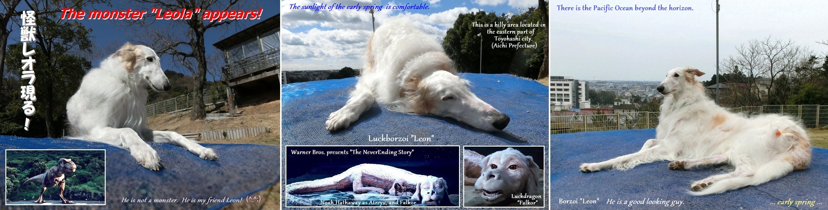 ボルゾイのレオン君 久々の登場です Borzoi Leon 飛んでる音好き爺 オーディオ 映画 音楽 愛犬 ボルゾイのレオン君 久々の登場です Borzoi Leon 飛んでる音好き爺 オーディオ 映画 音楽 愛犬